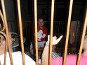SAM_0212