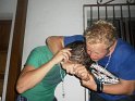 SAM_0513